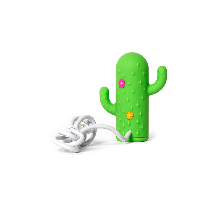 USB Hub so 4 portami - Cactus
