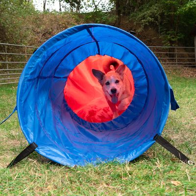 Agility Fun & Sport Komplett-Set