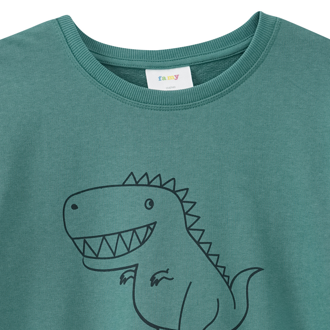 Jungen Sweatshirt mit Dino-Print