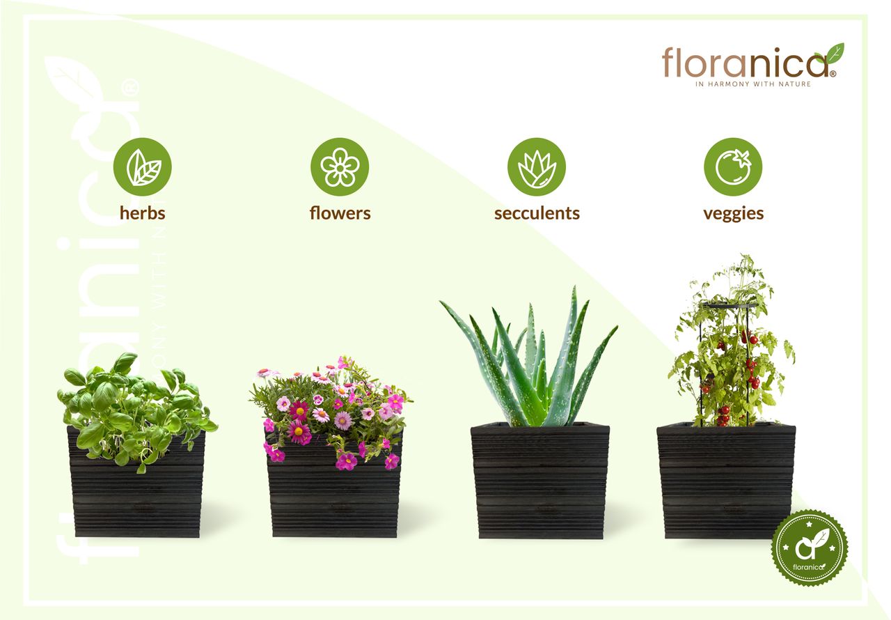 Pemicont Floranica Blumentopf aus Holz Kasten 30cm x 30cm x 285cm Anthrazit Imprägnierte Lärche Schutztopf für Kräuter Blumen Haus- und Gartendekoration Innen- und Außeneinsatz EU-Produkt
