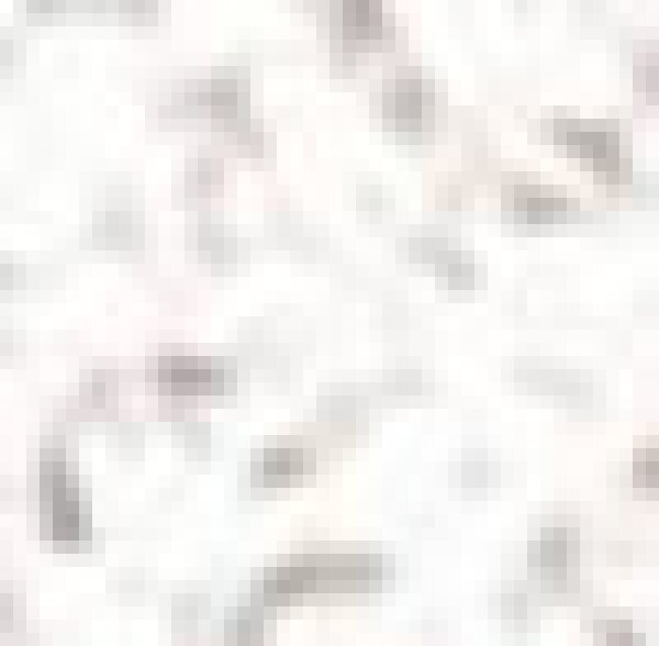 Stagecolor Cosmetics Lidschatten