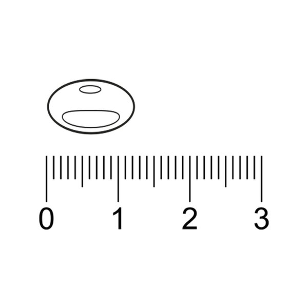 Trekpleister Q10 30 mg με κάψουλες βιταμίνης B1 50 τεμάχια
