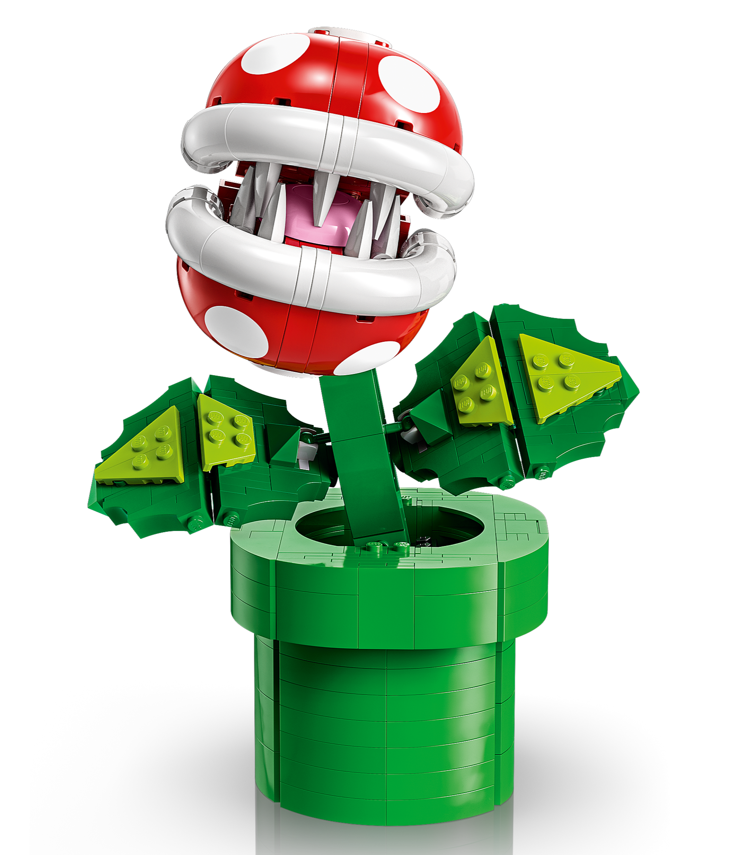 Piranha-Pflanze 71426