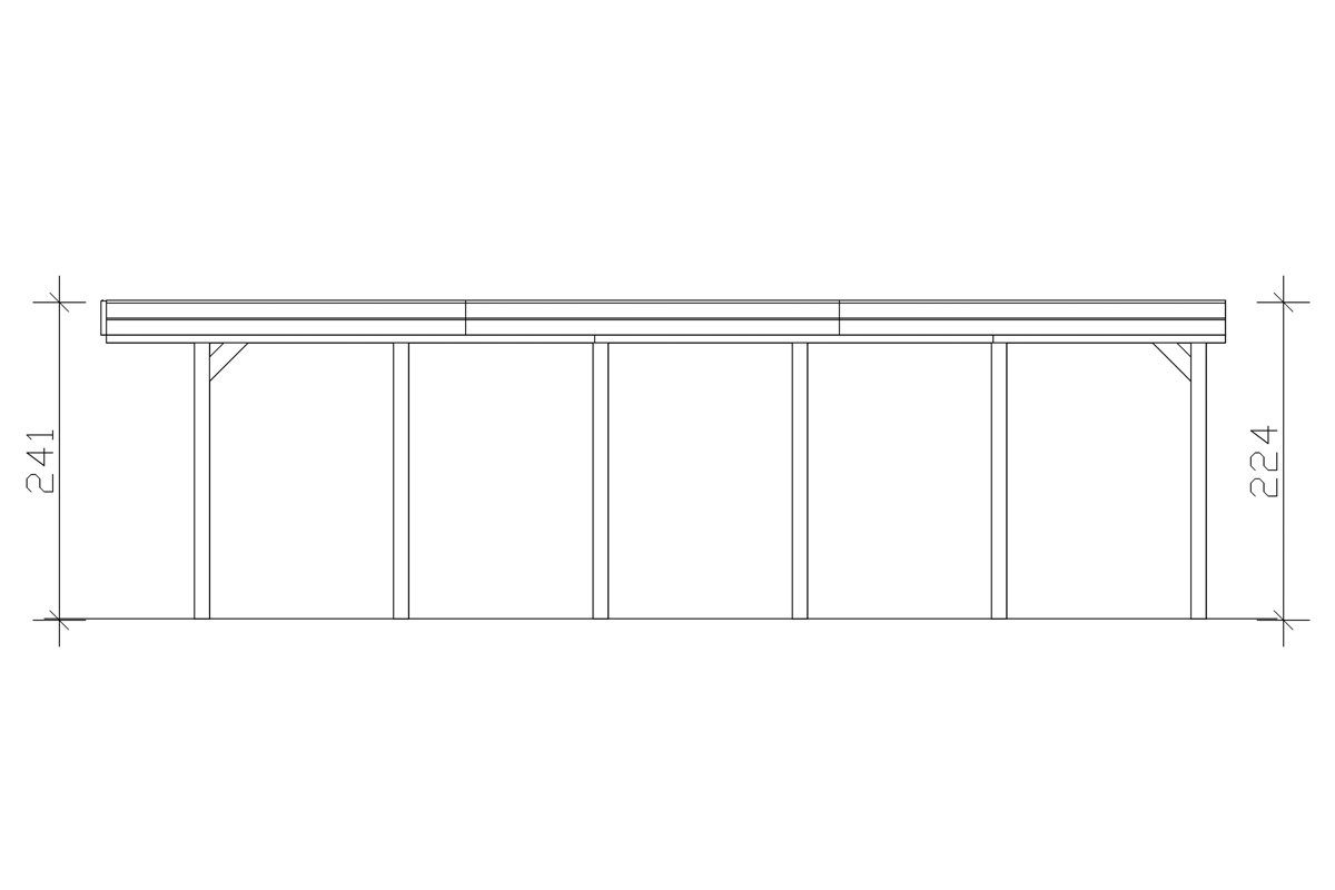 Skanholz Einzelcarport Friesland, BxT: 397x860 cm, 221 cm Einfahrtshöhe