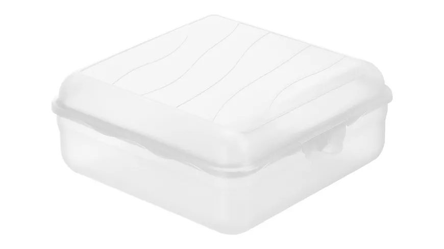rotho Brotdose Funbox 2,35l Klar