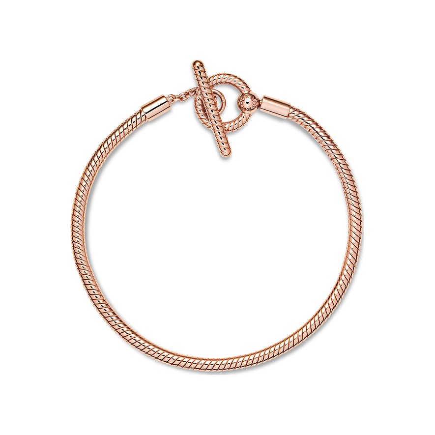 Pandora Armband Moments