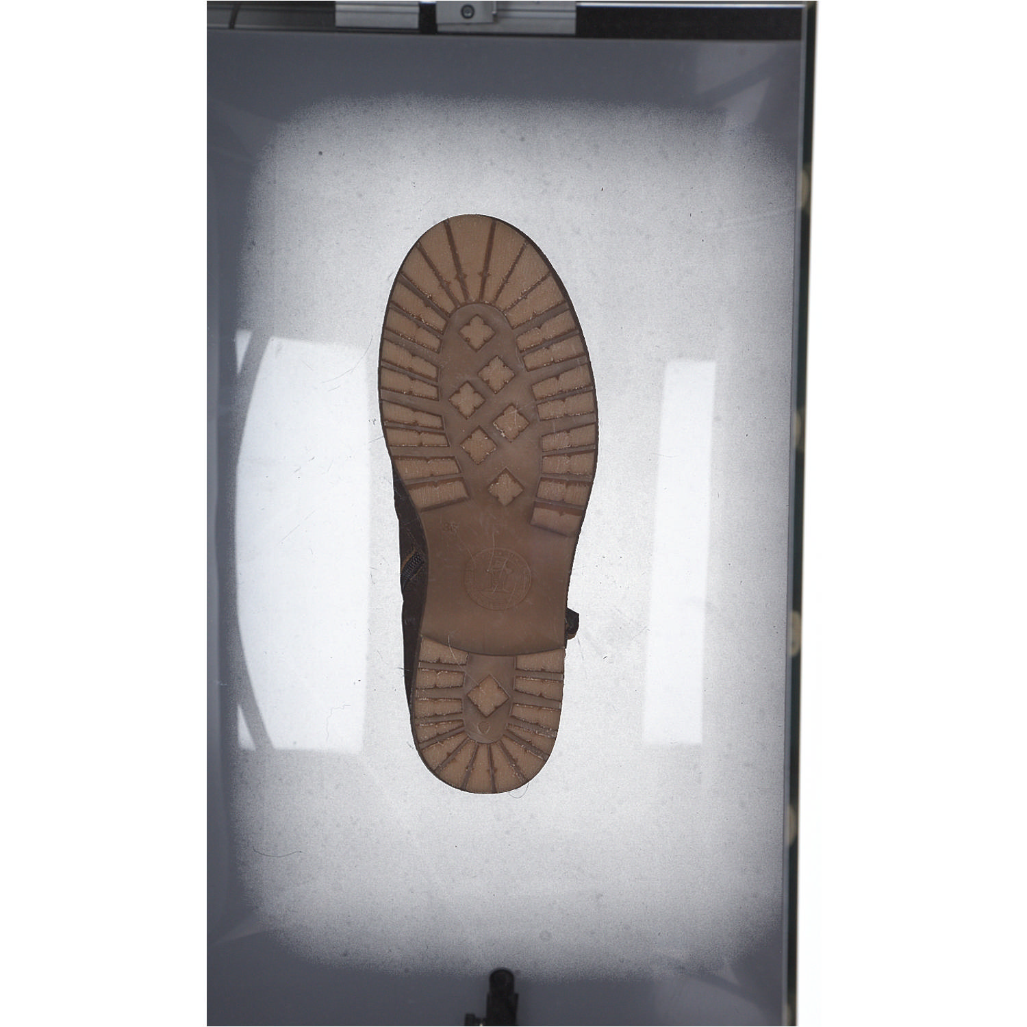 Panama Jack Pauline B, Stiefeletten, Damen, Braun