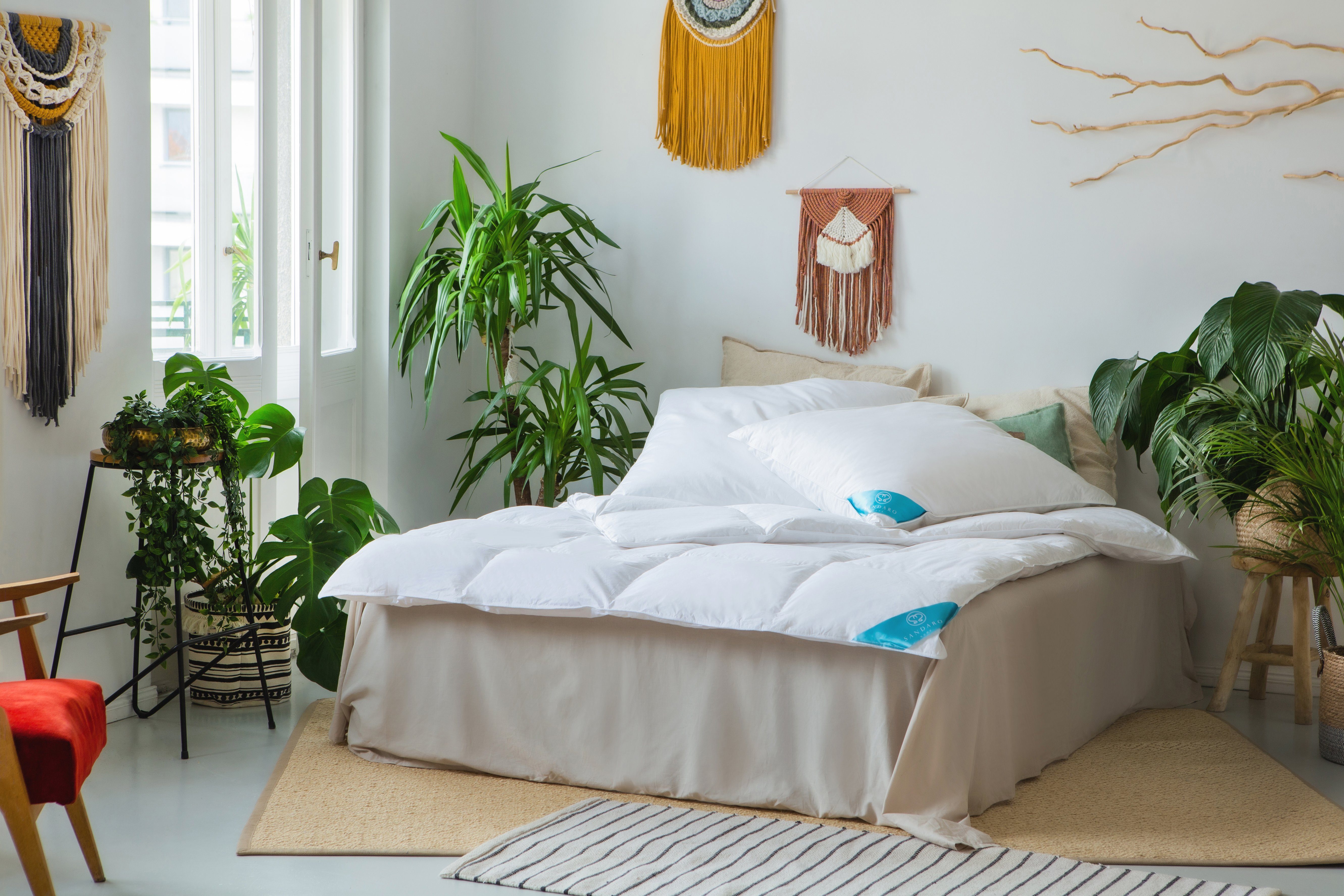 Daunenkissen Luxuriöses Kopfkissen mit Daunen & Federn, Sandaro Home, Füllung: 70% Daunen/ 30% Federn, Bezug: Baumwolle, Weiches Kissen für erholsamen Schlaf, 80 x 80 cm