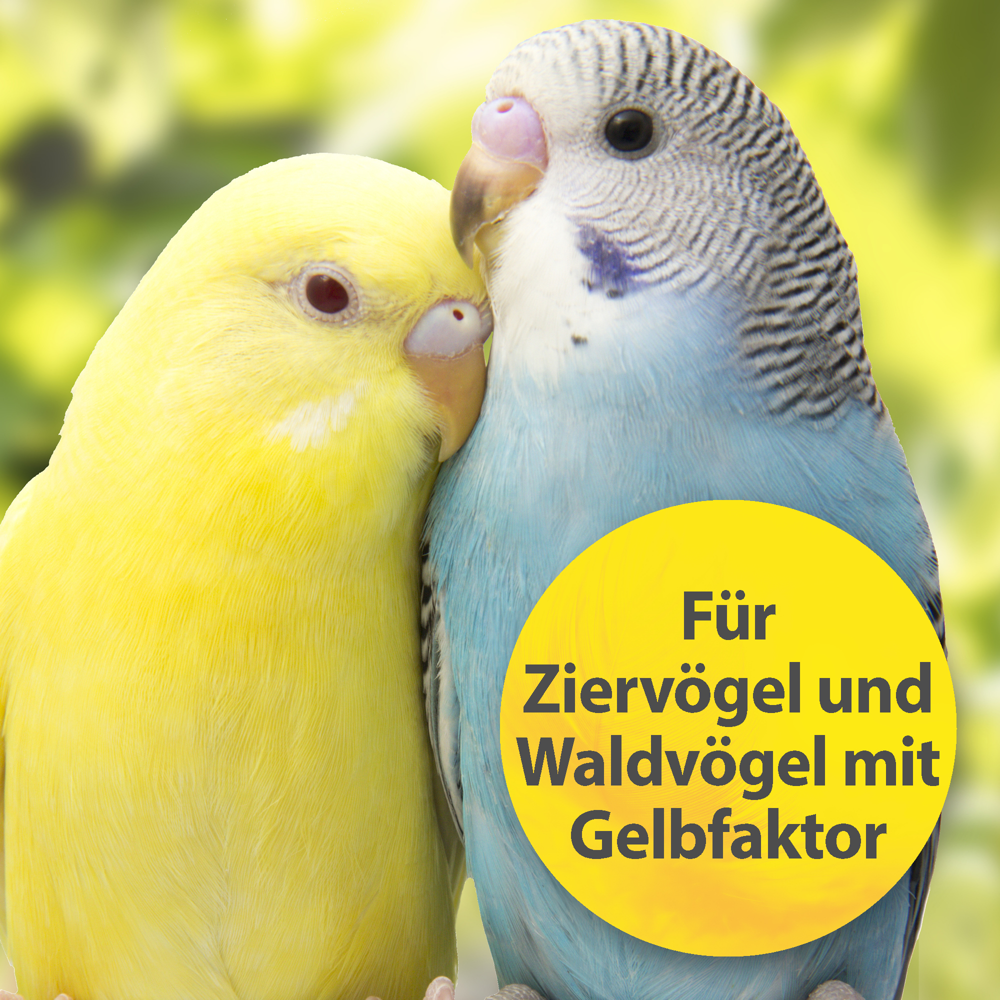 Quiko Ergänzungsfutter Quiko Intensiv Gelb 100 g: Ergänzungsfutter für Ziervögel mit Gelbfaktor