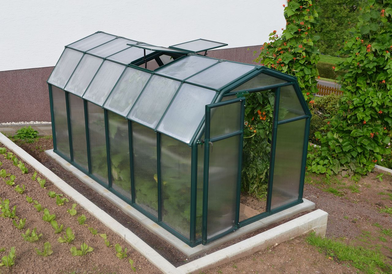 Canopia by Palram Gewächshaus Eco Grow  383 x 204cm Grün