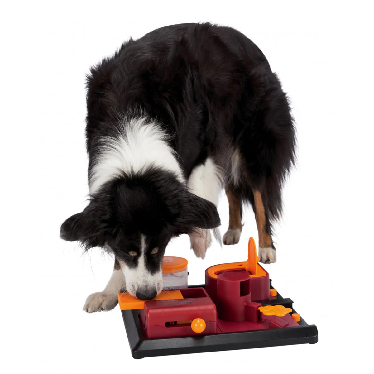 Trixie Dog Activity Strategiespiel Poker Box 2 bei ZooRoyal