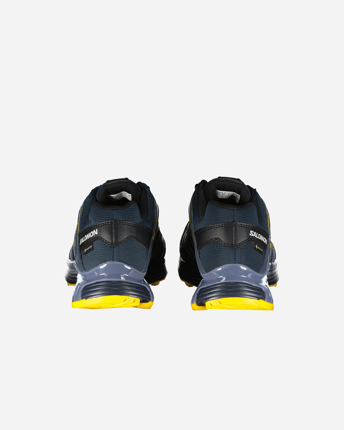 Scarpe Trail Salomon Xt Backbone Prime Gtx M L47581400