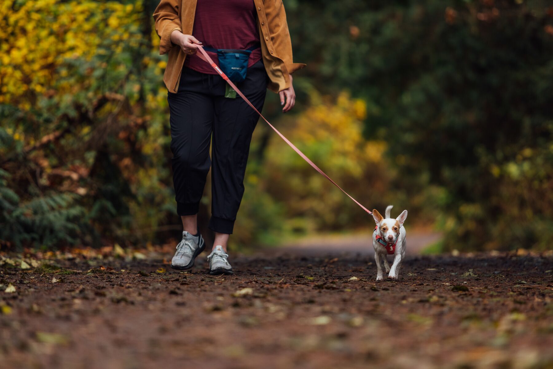 Ruffwear Hundeleinen Ruffwear Hi & Light™ Leine pink