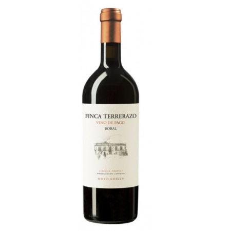 FINCA EL TERRERAZO 2020 - BODEGA MUSTIGUILLO