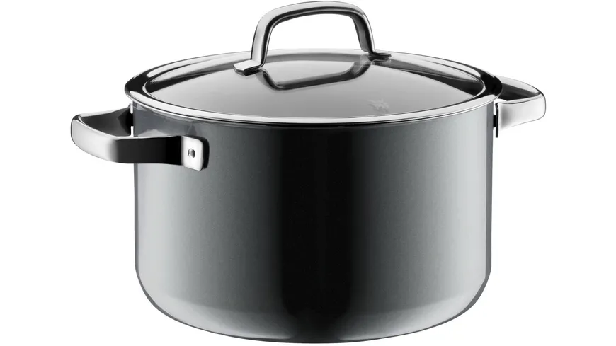 WMF Fleischtopf Fusiontec Mineral Ø 24cm