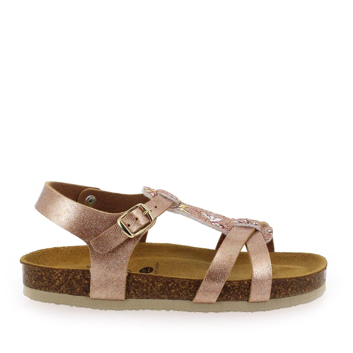 Plakton   CROSS - Rose multi
