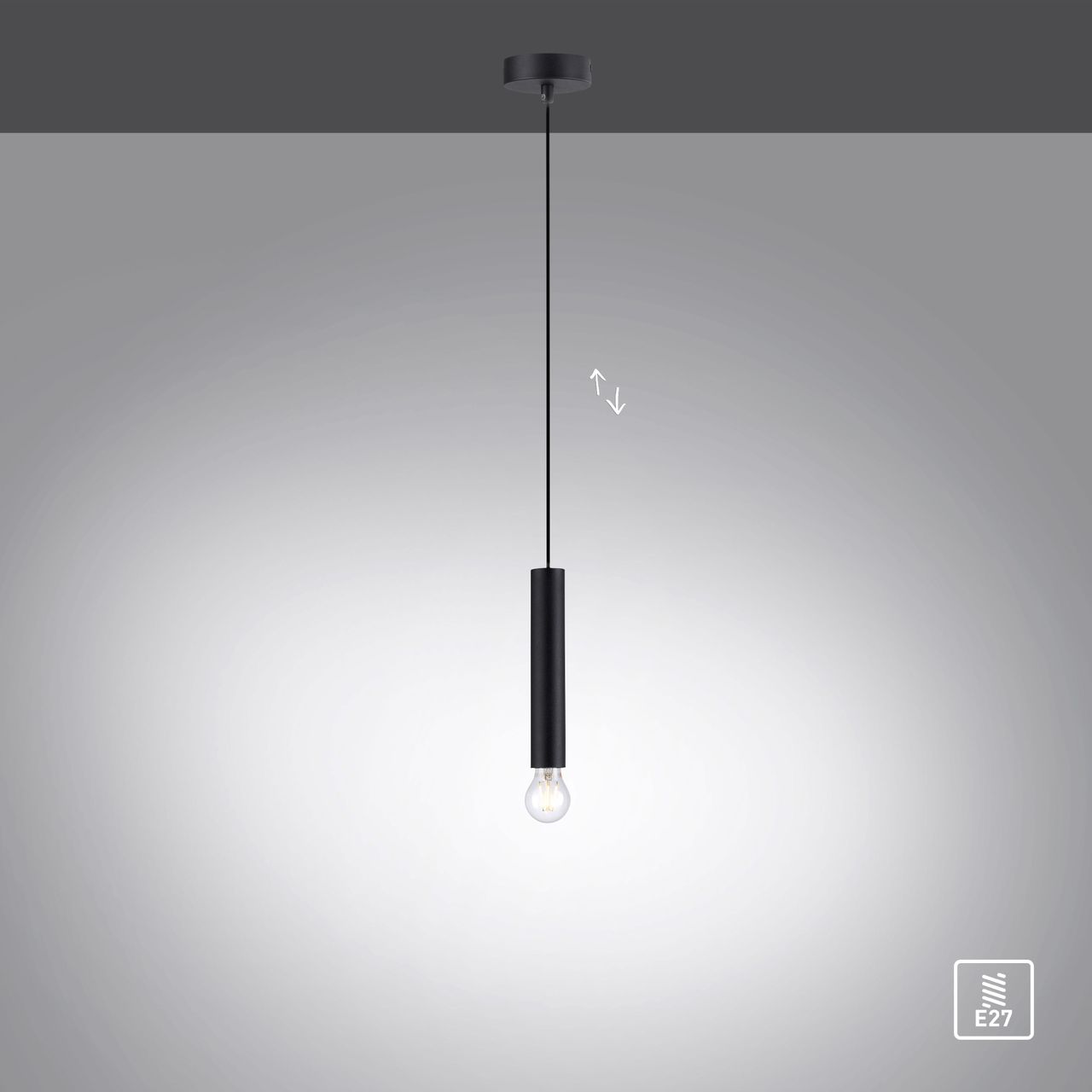 JUST LIGHT LechtenDirekt Pendelleuchte BRUNA, 1-flg.,1xE27/60Watt, Innenleuchte, IP20