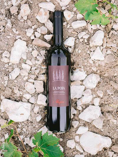 Allegrini : La Poja Corvina Veronese 2017