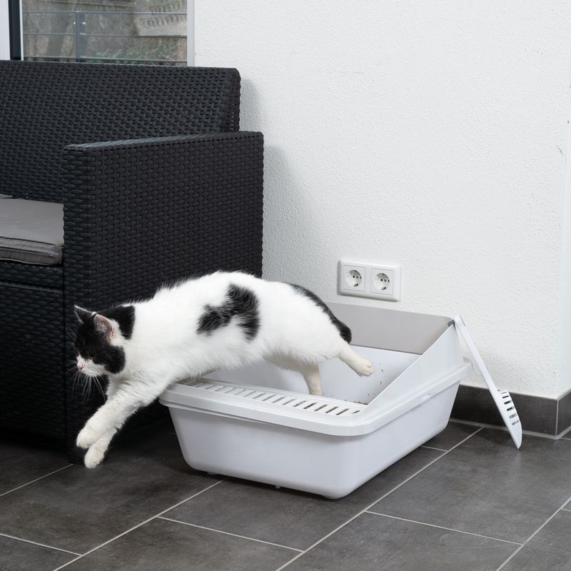 TIAKI Schalentoilette Dusty zu TOP-Preisen