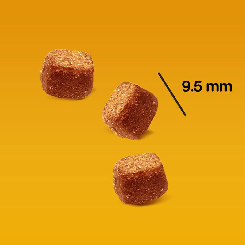 Pedigree Leckerbissen Mini-Happen