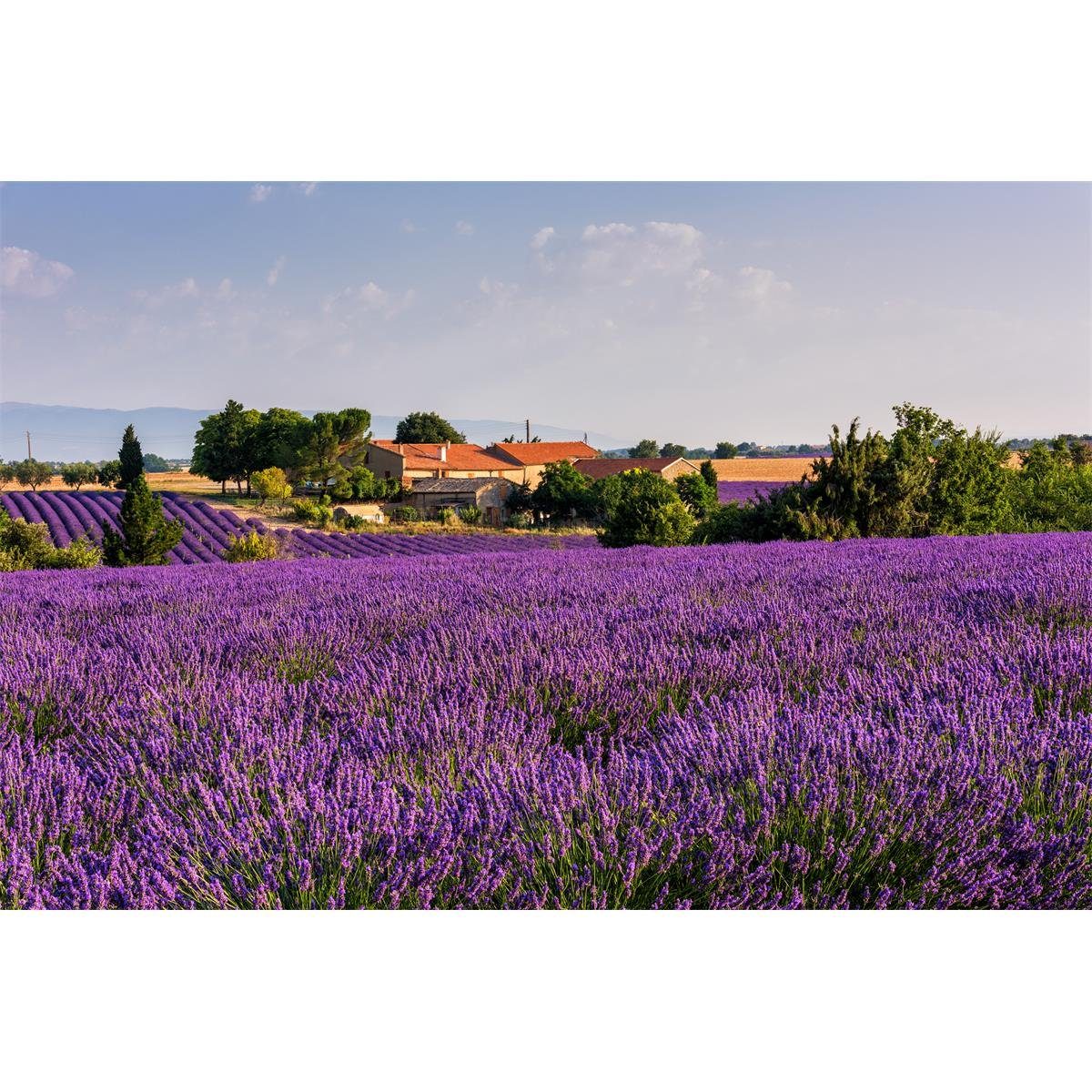 UHU Luftentfeuchter Uhu Luftentfeuchter Nachfüll-Tab Lavendel 2x450g Feuchtigkeits-Magnet