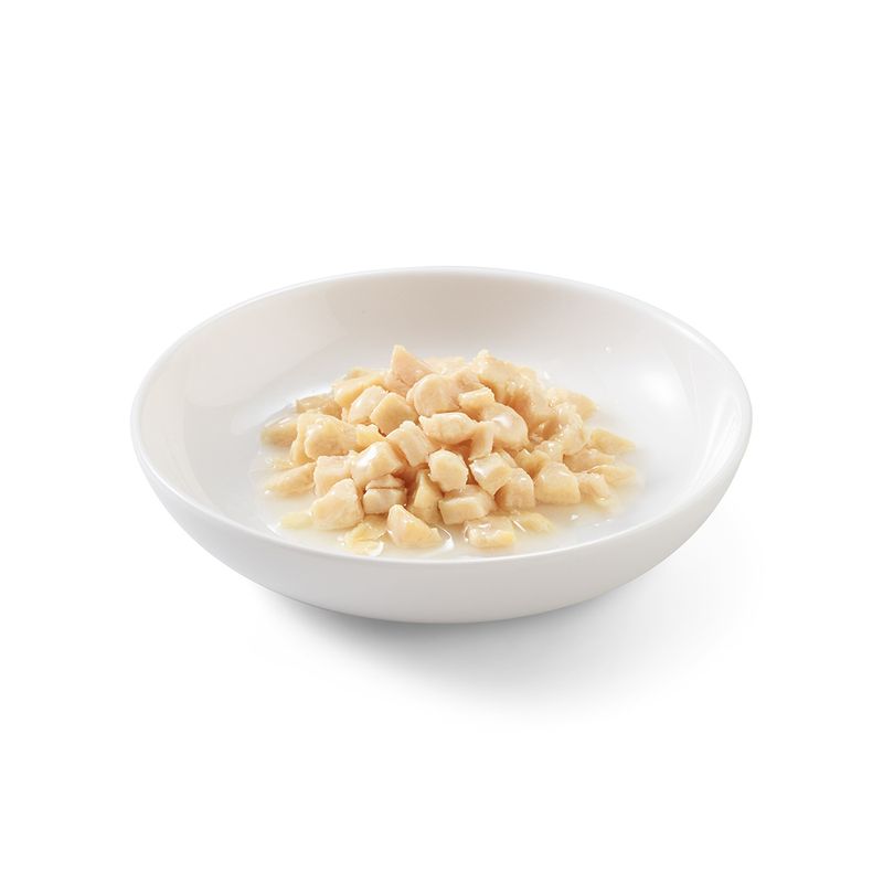 Schesir Jelly Pouch 6 x 85 g zu TOP-Preisen