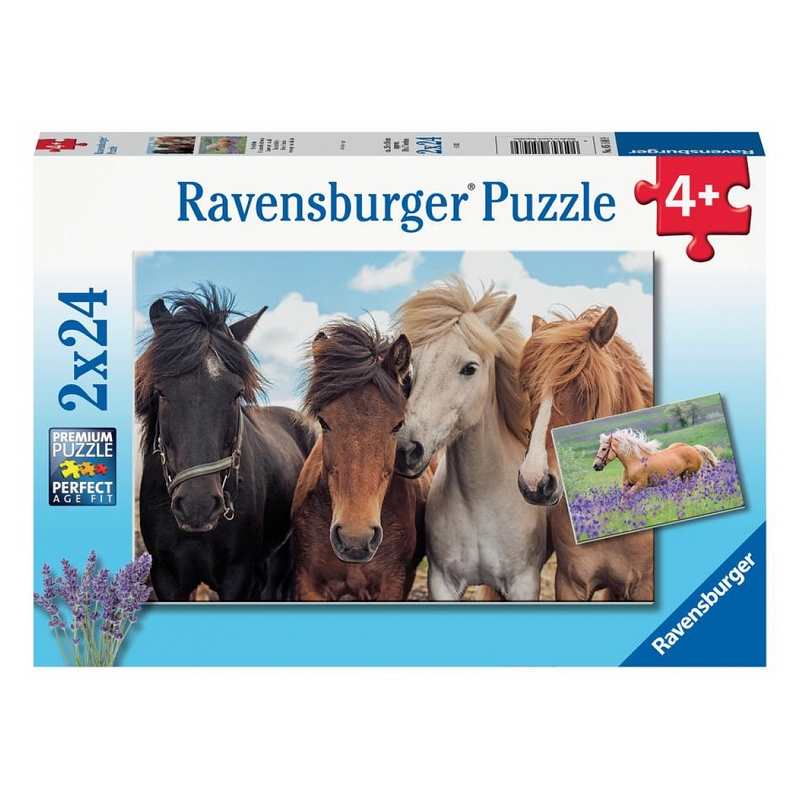 Puzzles L'amour des chevaux 2x 24 pièces