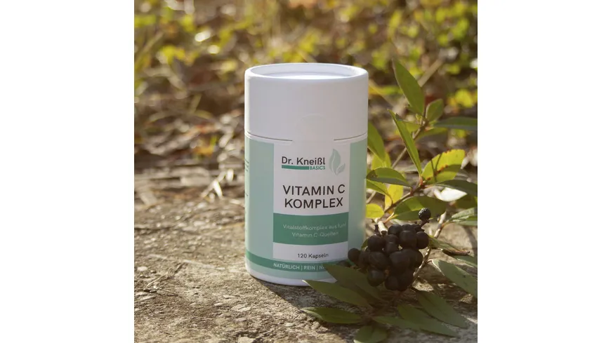 Dr.Kneißl Basics Vitamin C Komplex 82 g