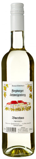 2022 Freyburger Schweigenberg Bacchus trocken - Weingut Schulze