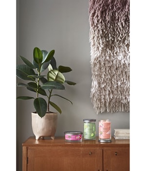 Yankee Candle Art In The Park Signature Multi Wick Tumbler Duftkerze-340 g