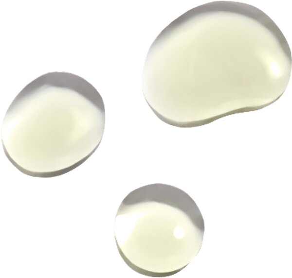 Gallinée Prebiotic Face Oil Gesichtsöl