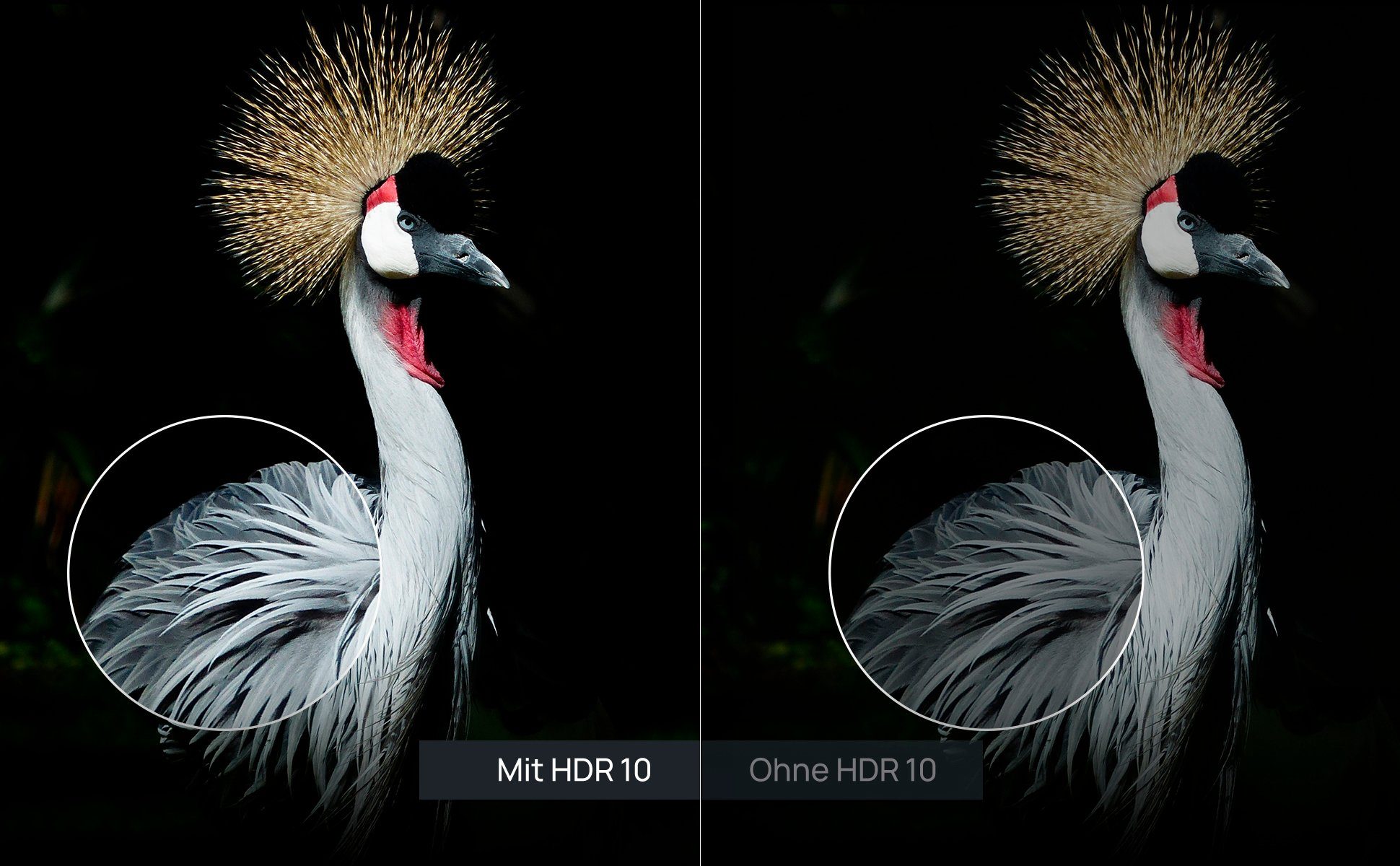 XGIMI HORIZON Beamer (2200 lm, 10000:1, 1920 x 1080 px, Smart Beamer, FullHD, 2200 ANSI-Lumen, auto. Keystone)