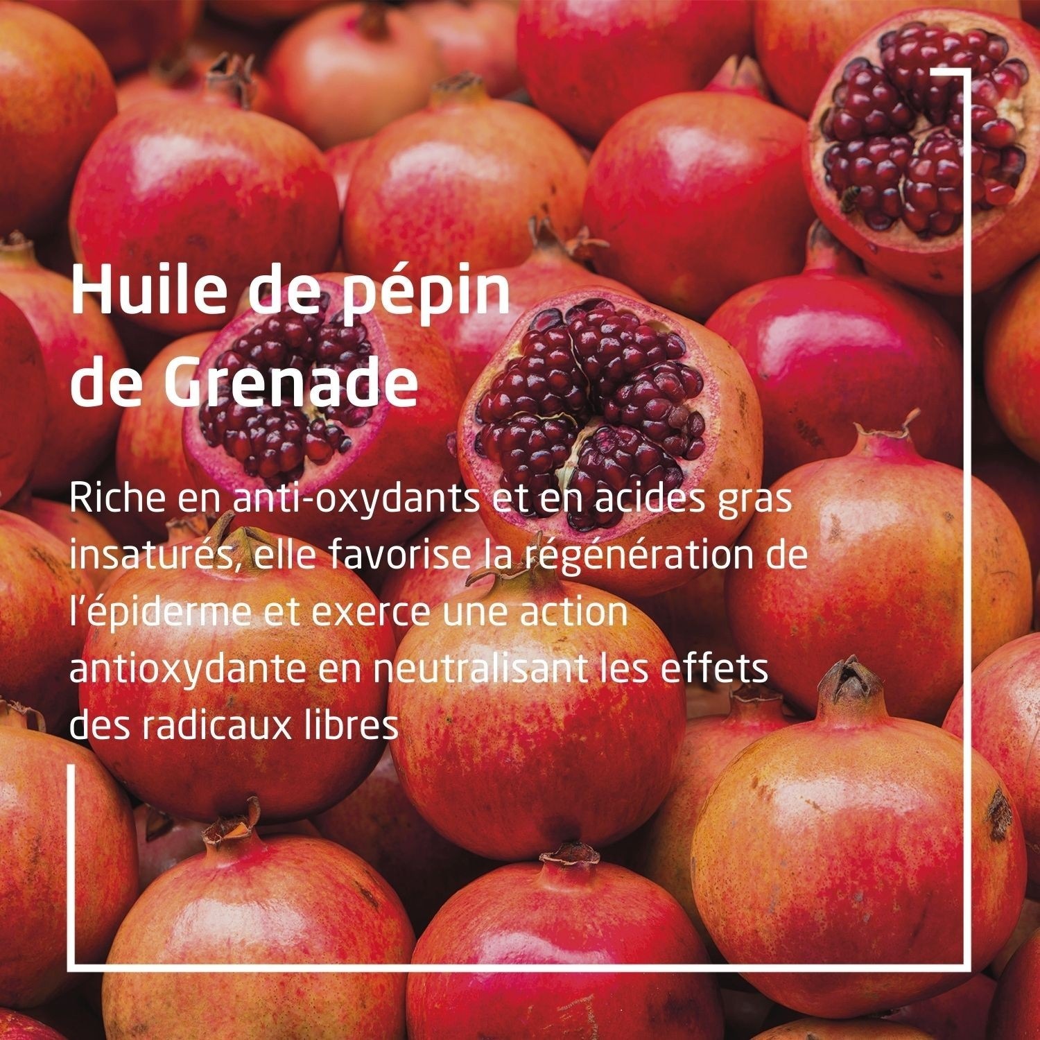 Weleda Pomegranate Antioxidant Hand Cream
