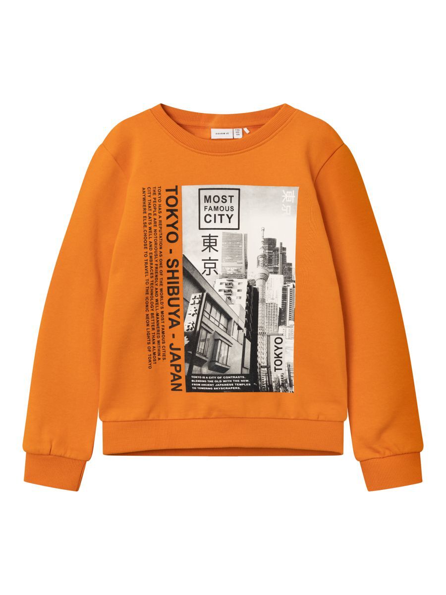 Sweatshirt 'STOBIAS'