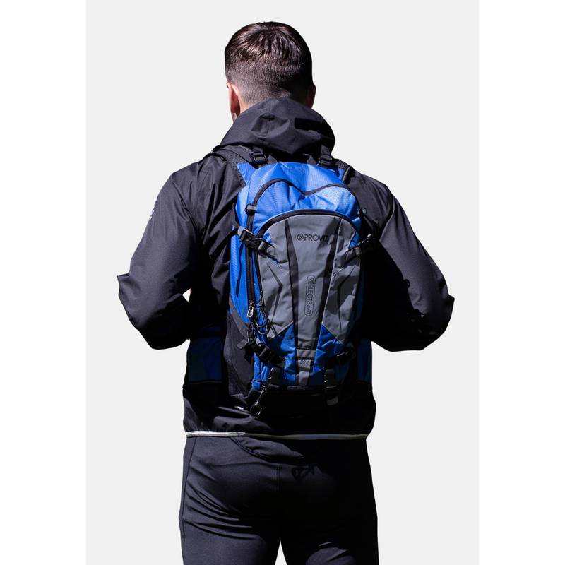 Proviz REFLECT360 Daypack