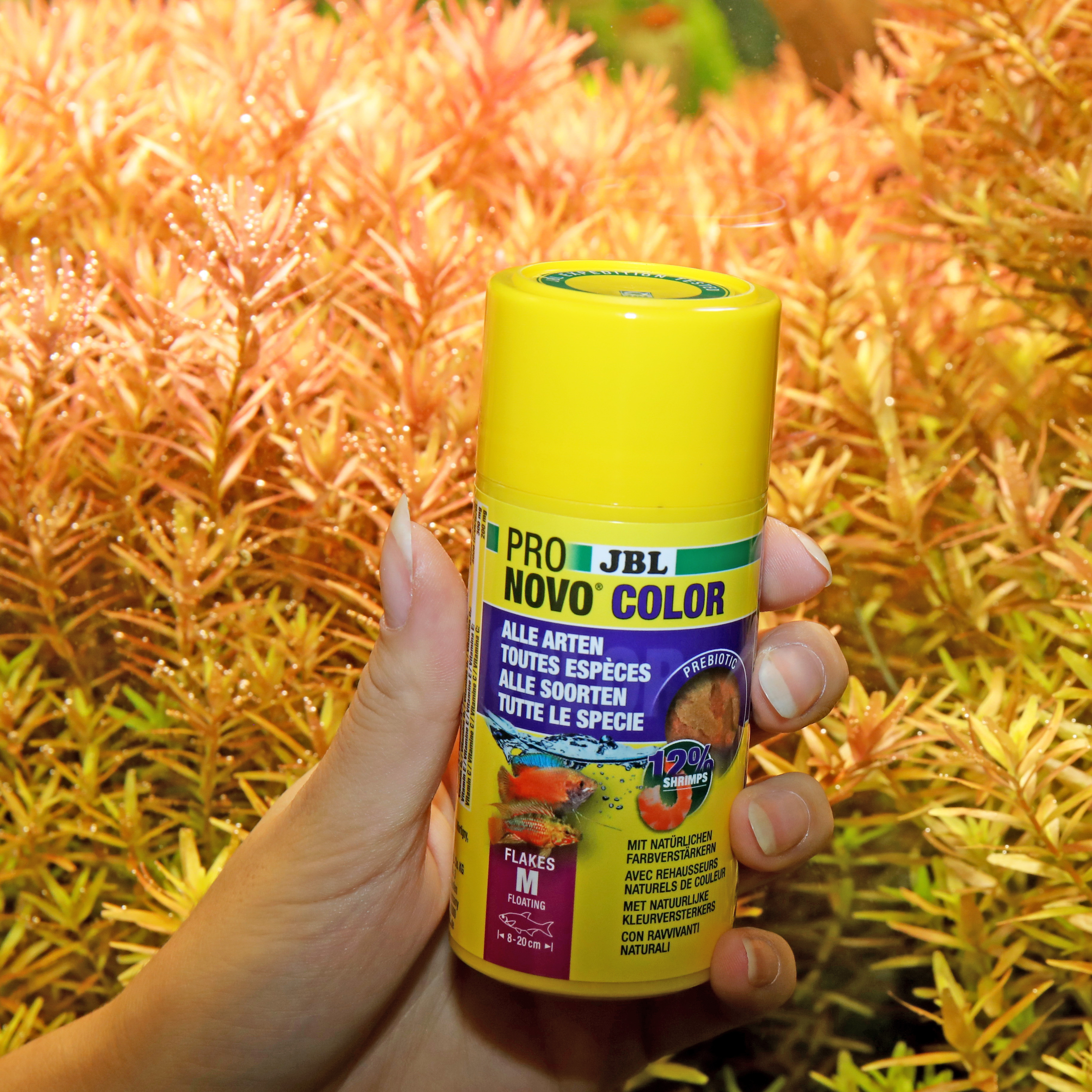 JBL Hauptfutter JBL PRONOVO Color Flakes M 100 ml