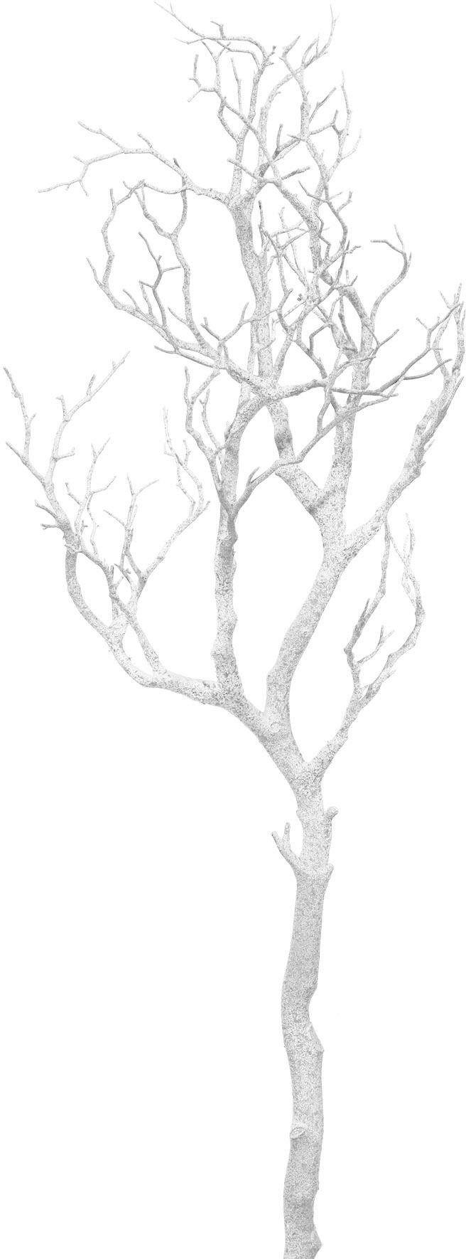 Winterliche Kunstpflanze Weihnachtsdeko Zweig, my home, Höhe 97 cm, Deko-Ast