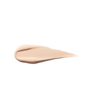 Shiseido Synchro Skin Self-Refreshing Concealer-5.8 ml