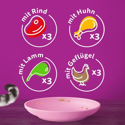 Multipack Whiskas Junior Frischebeutel 12 x 85 g