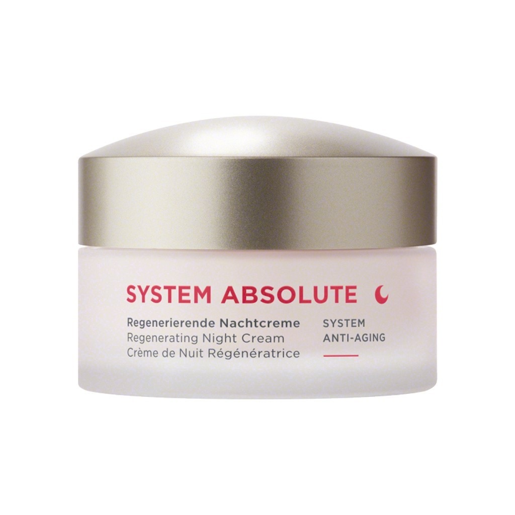 SYSTEM ABSOLUTE