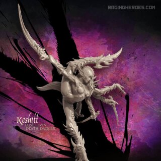 Keshitt DD TR (LE-F/SF)