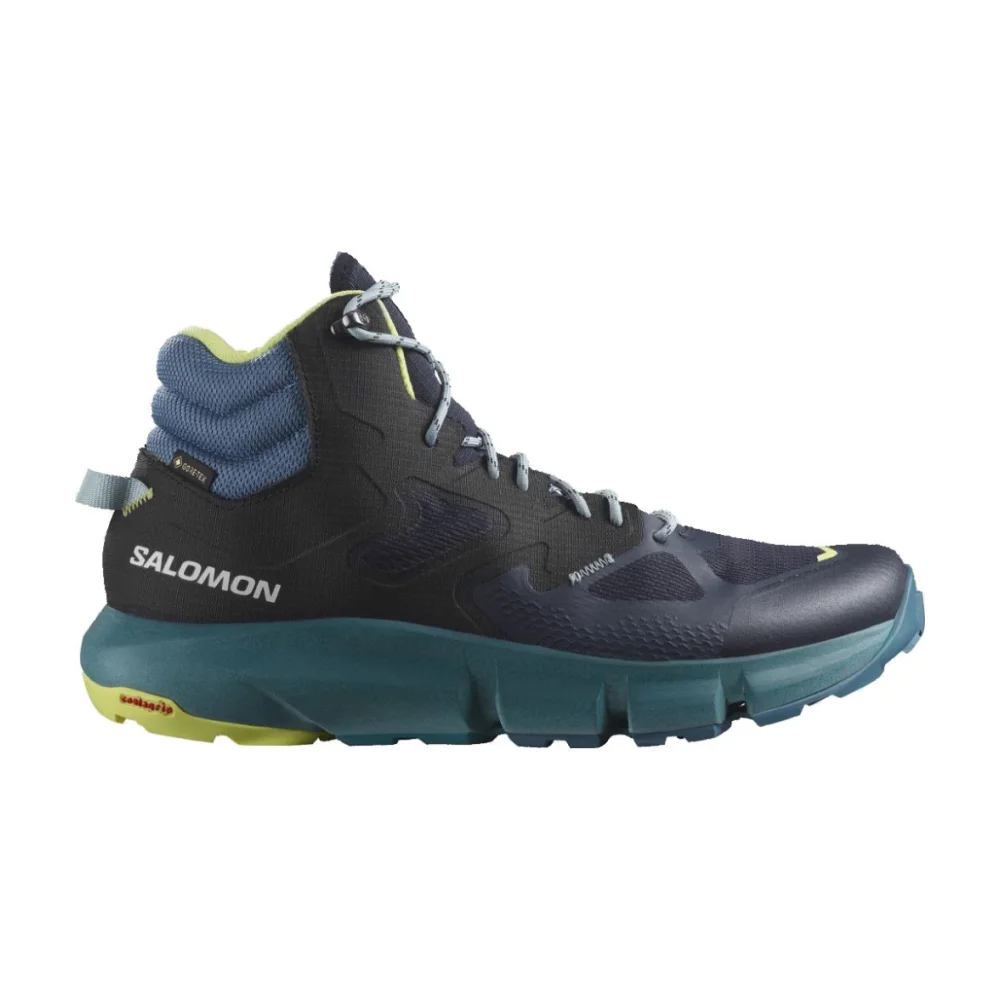 Salomon Predict Hike Mid GTX L47154500 / bunt