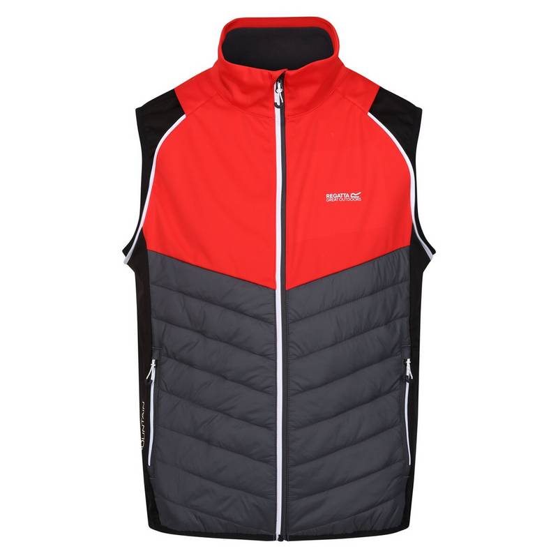 Regatta Steren Funktionsjacke Herren