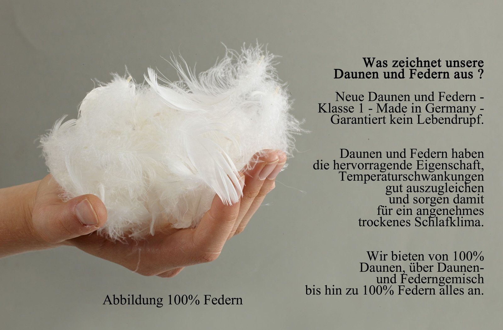 Gänsefederkopfkissen Kopfkissen Claudia, franknatur, Füllung: 100% Gänsefedern, Bezug: 100% Baumwolle, Kissen mit Gänsefedern, allergikergeeignet