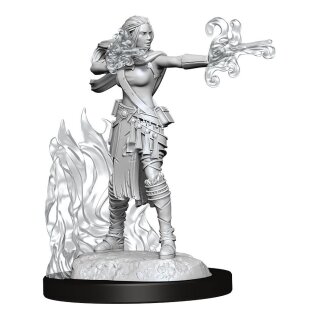 D&D Nolzur's Marvelous Miniatures - Multiclass Warlock & Sorcerer Female