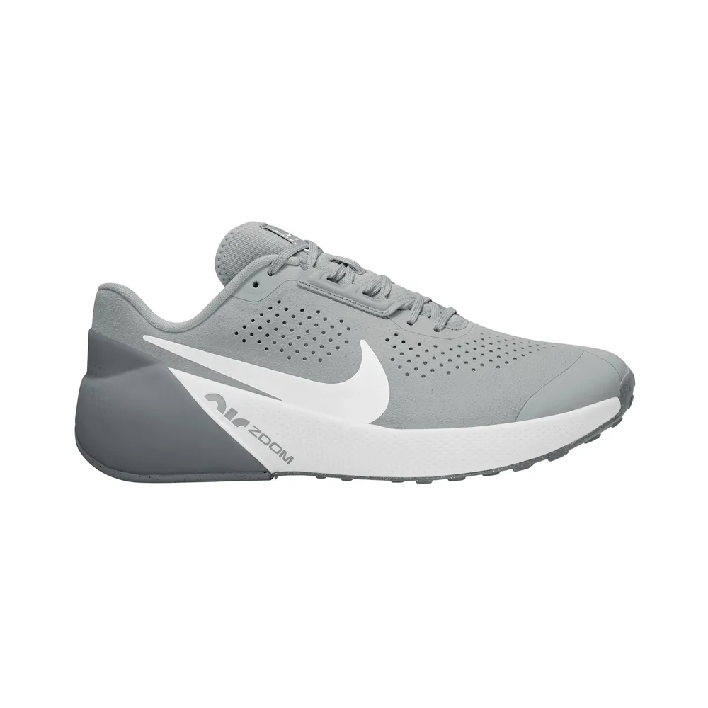 Nike Air Zoom TR 1 DX9016-003 / grau