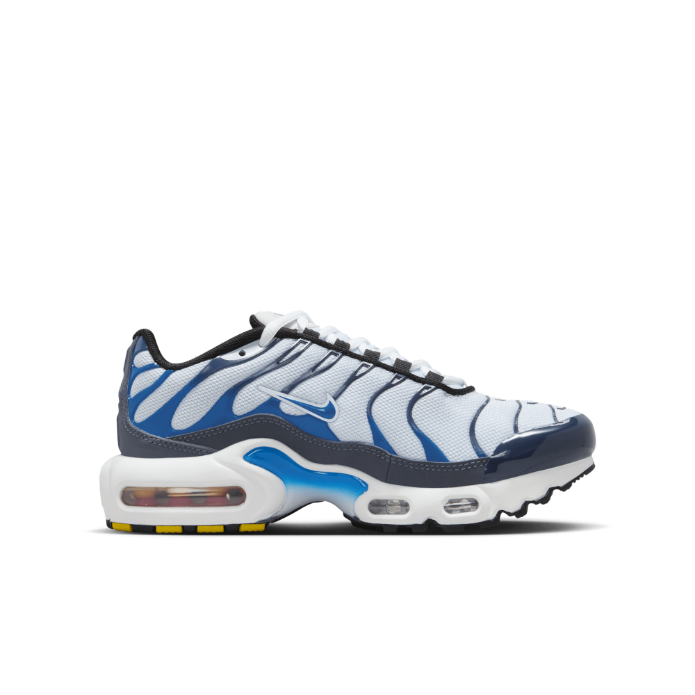 Nike Air Max CD0609-409 / blau