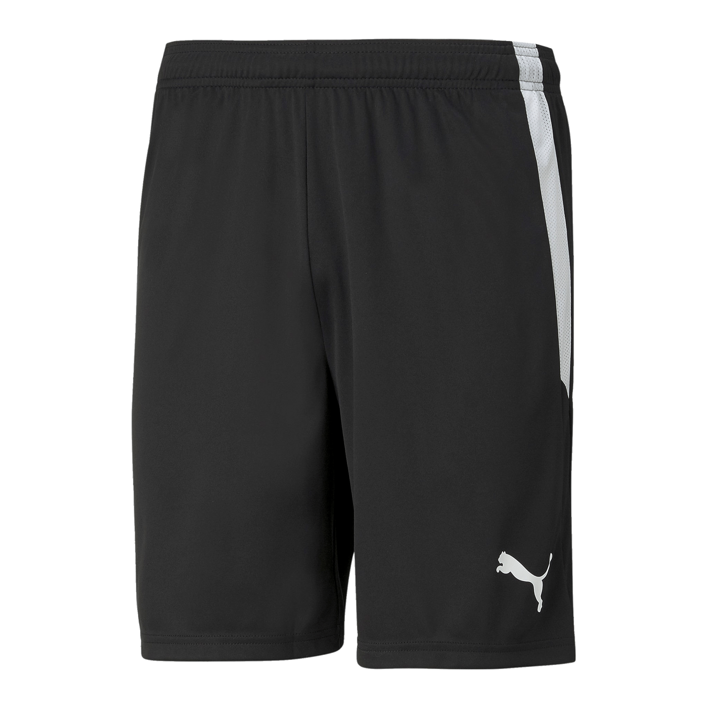 PUMA teamLIGA Short Schwarz Weiss F03