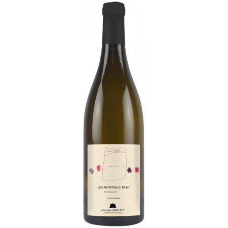 MUSCADET - MONTYS LE PARC 2021 - JEREMIE HUCHET
