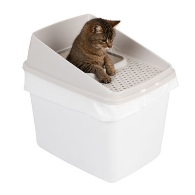 Katzentoilette Big Box